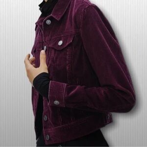 Aritzia Talula Edo Corduroy Jacket in Maroon Sz Medium